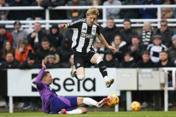 的表现令人 的表现令人